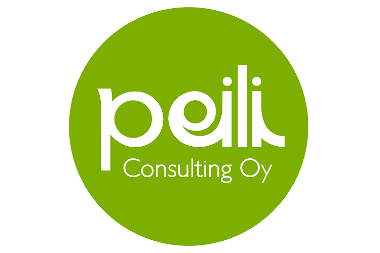 Peili Consulting Oy